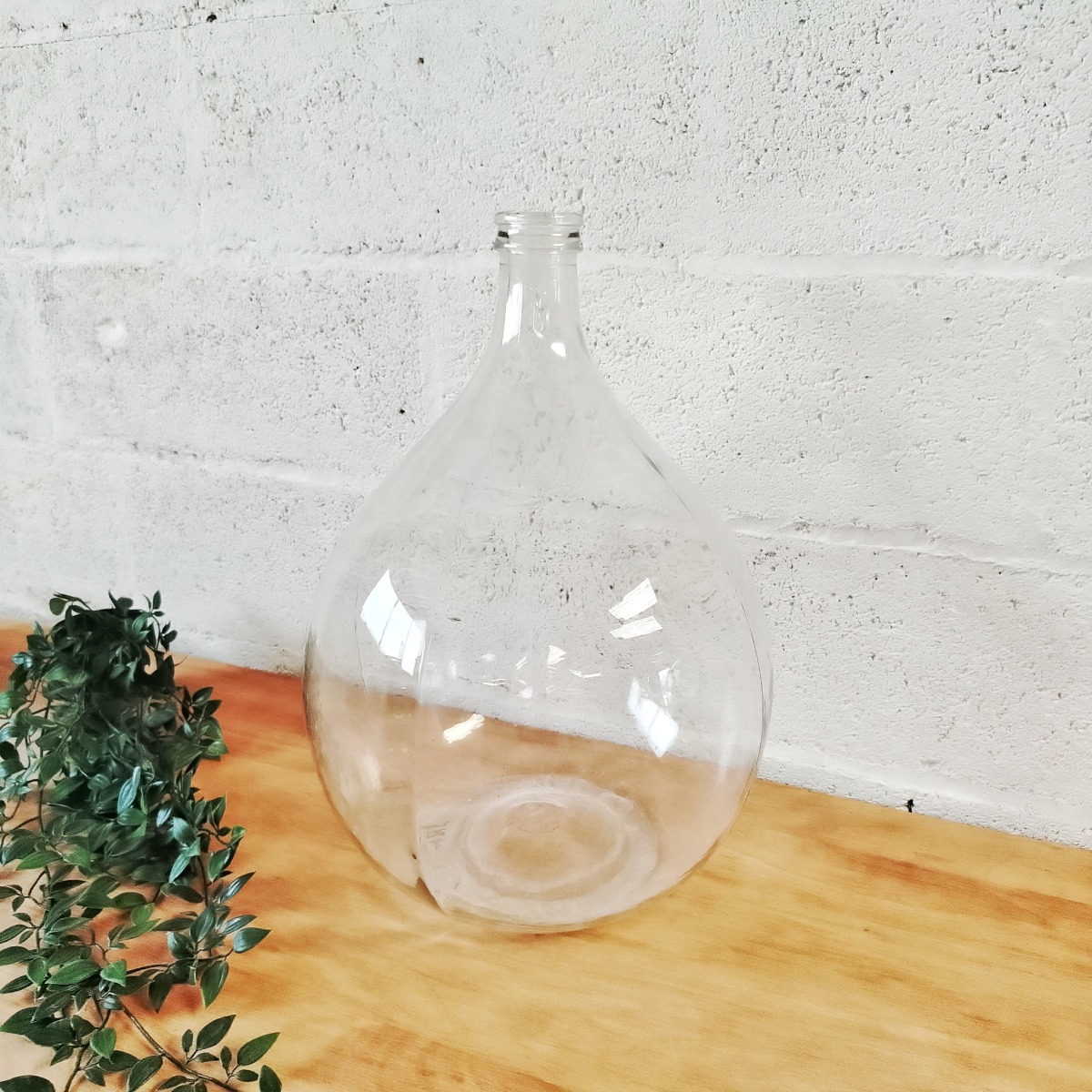 – Image 2